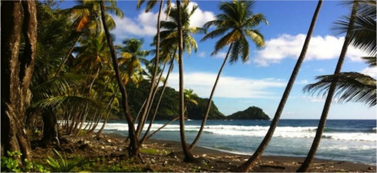 Caribbean Glory Realty sourcing and identifying prime Dominica real estate for an excluse investor to establish a Caribbean chain of hotels