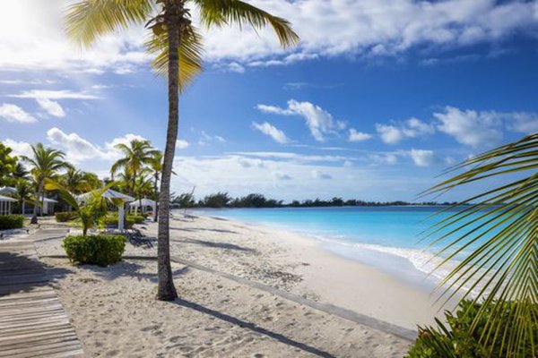 Goshen Group a new Caribbean Development including Residency by Investment in Bahamas Eco Agro and Beachfront glamping and Boutique Hotel Resorts