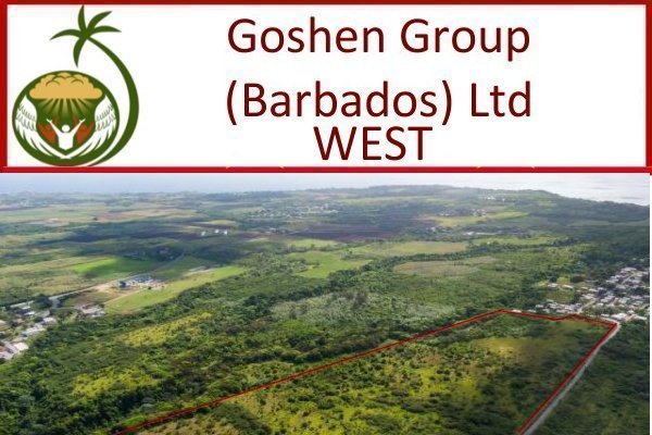 Goshen Group a new Caribbean Development including Residency by Investment sales in Barbados west coast