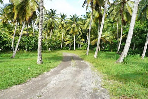 Goshen Group Dominica Phase #2 Stage #2 introducing a new Caribbean Development including Citizenship by Investment in Dominica Grenada Nevis and St Lucia Eco Agro and Beachfront glamping and Boutique Hotel Resorts