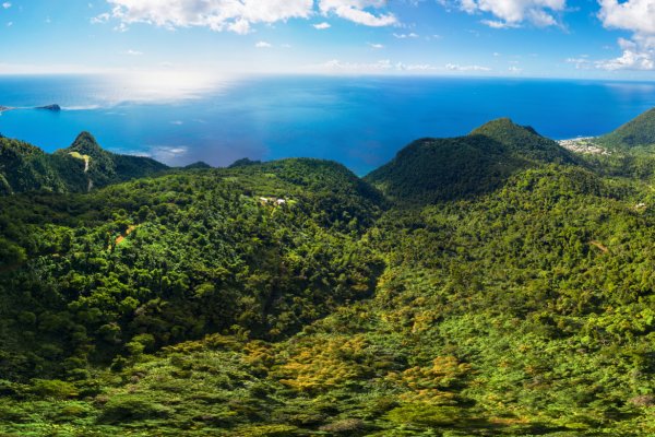 Goshen Group Dominica Phase #4 introducing a new Caribbean Development including Citizenship by Investment in Dominica Grenada Nevis and St Lucia Eco Agro and Beachfront glamping and Boutique Hotel Resorts