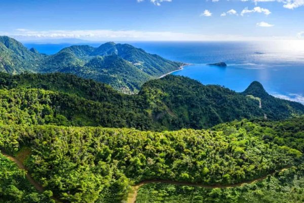 Goshen Group Dominica Phase #4 introducing a new Caribbean Development including Citizenship by Investment in Dominica Grenada Nevis and St Lucia Eco Agro and Beachfront glamping and Boutique Hotel Resorts