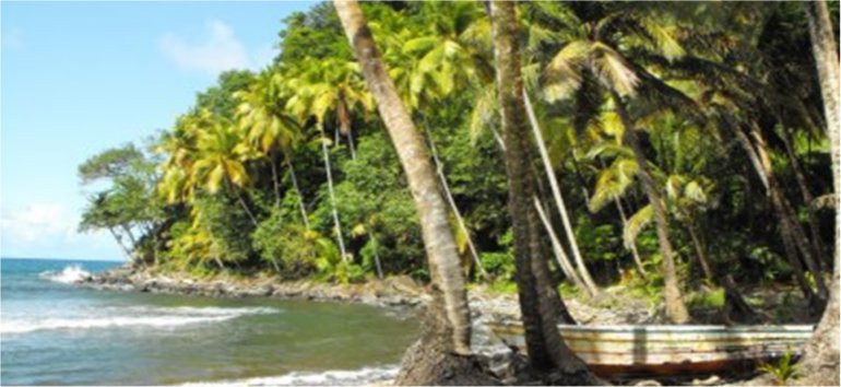 Dominica Goshen Group Citizenship by Investment including Dominica passport timeshare investment and houseplot within gated community plus Eco Agro and Beachfront glamping and Boutique Hotel Resorts