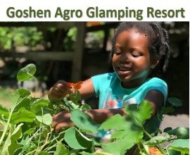 Goshen Africa Agro Glamping Resorts