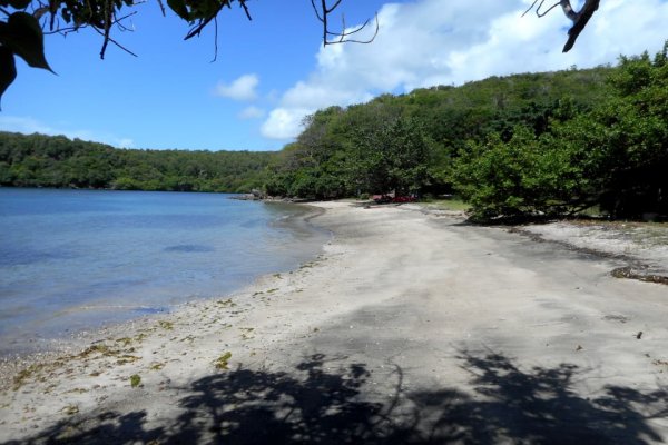 Grenada Goshen Group Citizenship by Investment Grenada Phase #3 including Grenada passport timeshare investment and houseplot within gated community plus Eco Agro and Beachfront glamping and Boutique Hotel Resorts