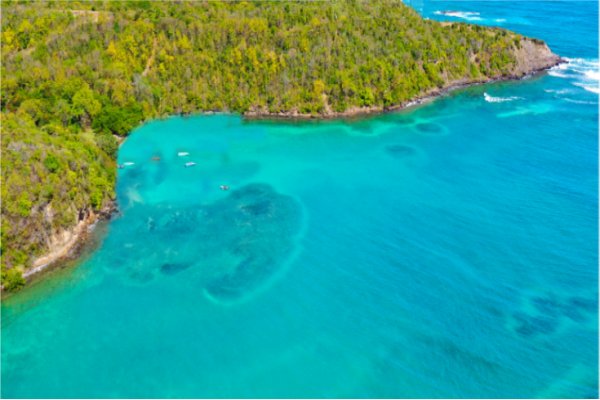 Grenada Goshen Group Citizenship by Investment Grenada Phase #3 including Grenada passport timeshare investment and houseplot within gated community plus Eco Agro and Beachfront glamping and Boutique Hotel Resorts
