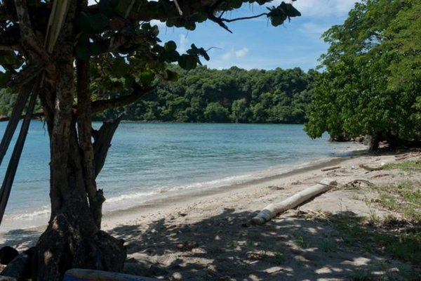 Grenada Goshen Group Citizenship by Investment Grenada Phase #3 including Grenada passport timeshare investment and houseplot within gated community plus Eco Agro and Beachfront glamping and Boutique Hotel Resorts