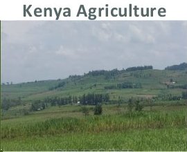 Agriculture and Agro Tourism