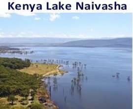Goshen Africa Kenya Lake Naivasha Resorts
