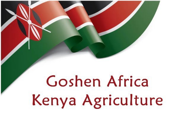 Goshen Africa Kenya Agro Glamping Food for Life food sustainable agricultural educational Moringa programme