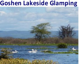 Goshen AFrica Lakeside Glamping Resorts