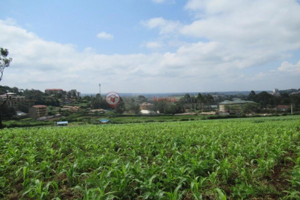 Goshen Africa Nairobi suburb Jewel Gated Community plus Guest Houses and Timeshares