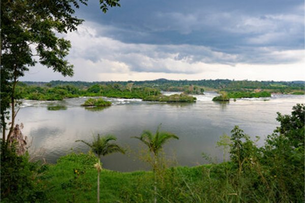 Goshen Africa a new African Development including Uganda Eco Lakeside Glamping in Lake Victoria Uganda 
